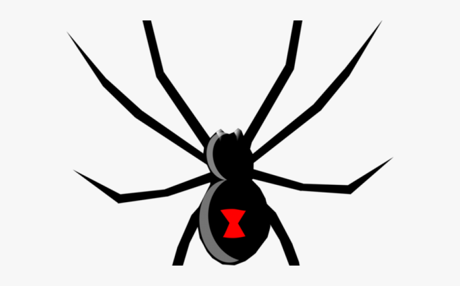 Tarantula Clipart Clip Art - Black Widow Spider Silhouette, Transparent Clipart