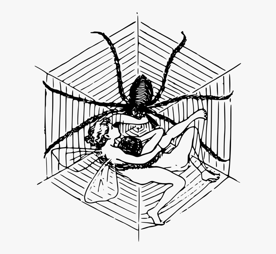 Line Art,angle,area - Spider Web Pixel Art, Transparent Clipart