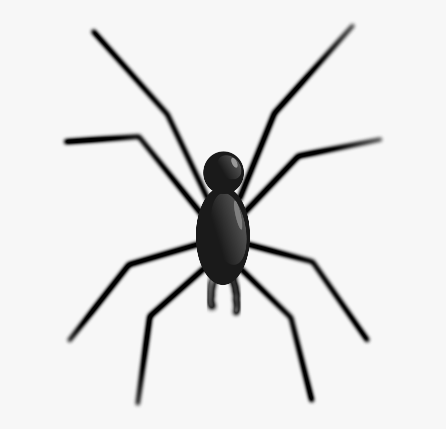 Spider - Animals With 8 Legs Clipart, Transparent Clipart