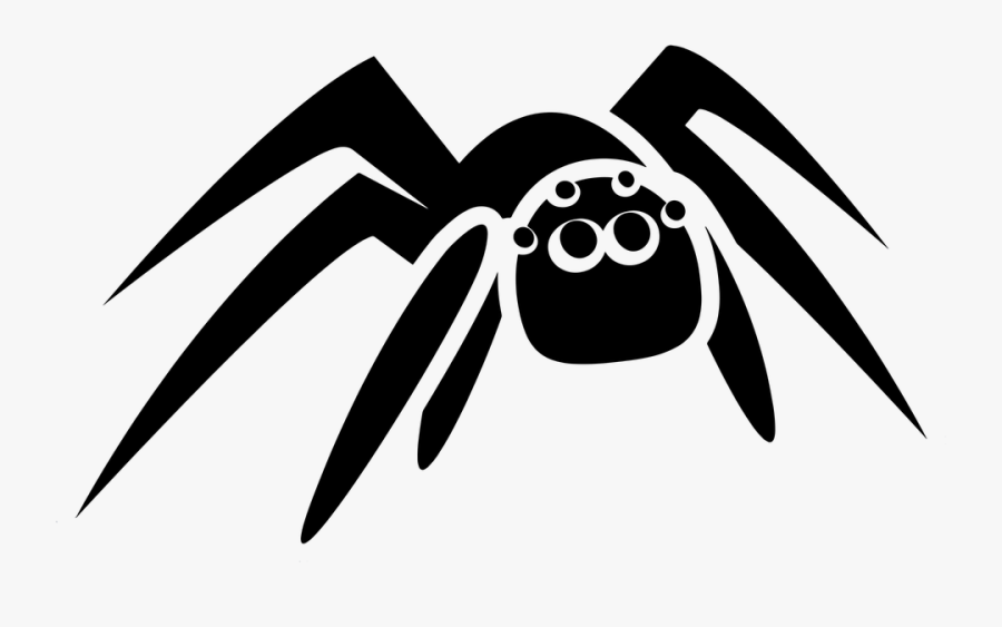 Spider Tarantula Arachnid Animal Nature - Insect, Transparent Clipart