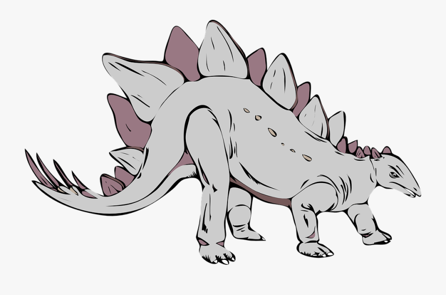 Stegosaurus, Dinosaur, Prehistoric, Animal, Jurassic - Stegosaurus Drawings, Transparent Clipart