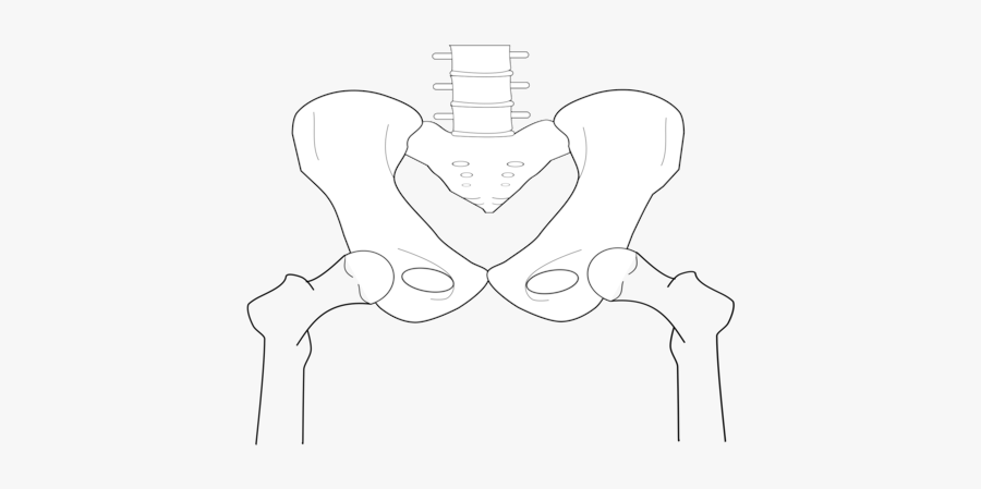 Art,monochrome,arm - Line Art, Transparent Clipart