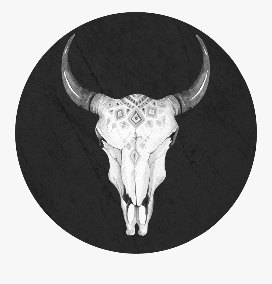Transparent Bull Skull Png - Placa De Transito Proibido Estacionar, Transparent Clipart