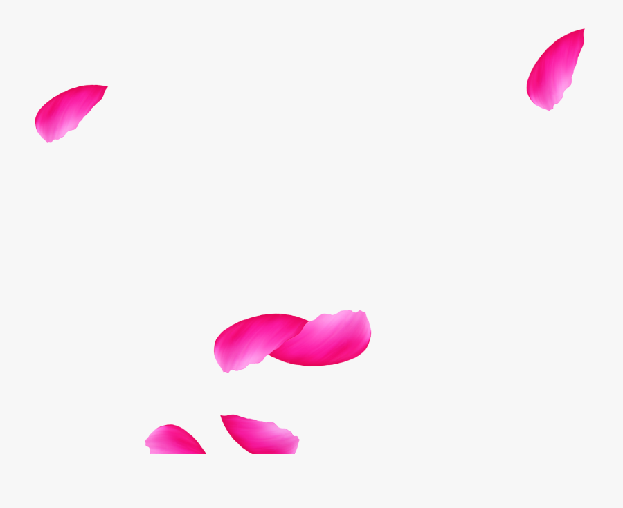 Tulip, Transparent Clipart