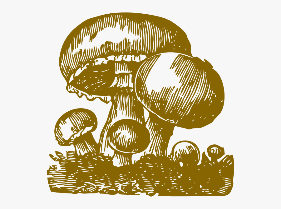 Mushroom-miri Svg Clip Arts - Gambar Jamur Kartun Keren, Transparent Clipart