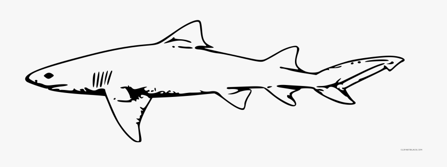 Clipart Basketball Shark - Drawings Of Lemon Sharks, Transparent Clipart