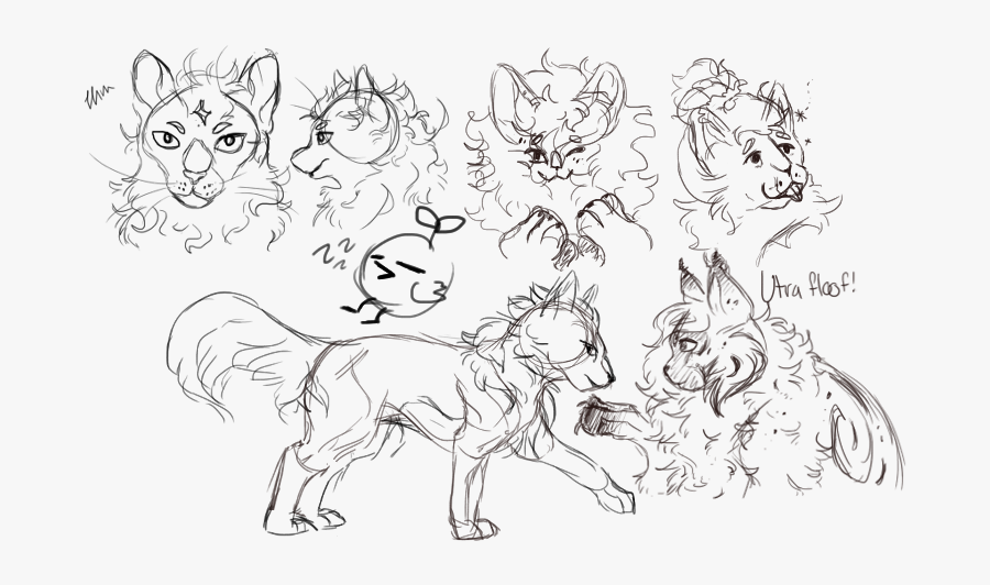 Sketch - Fungi Sketch - Line Art, Transparent Clipart