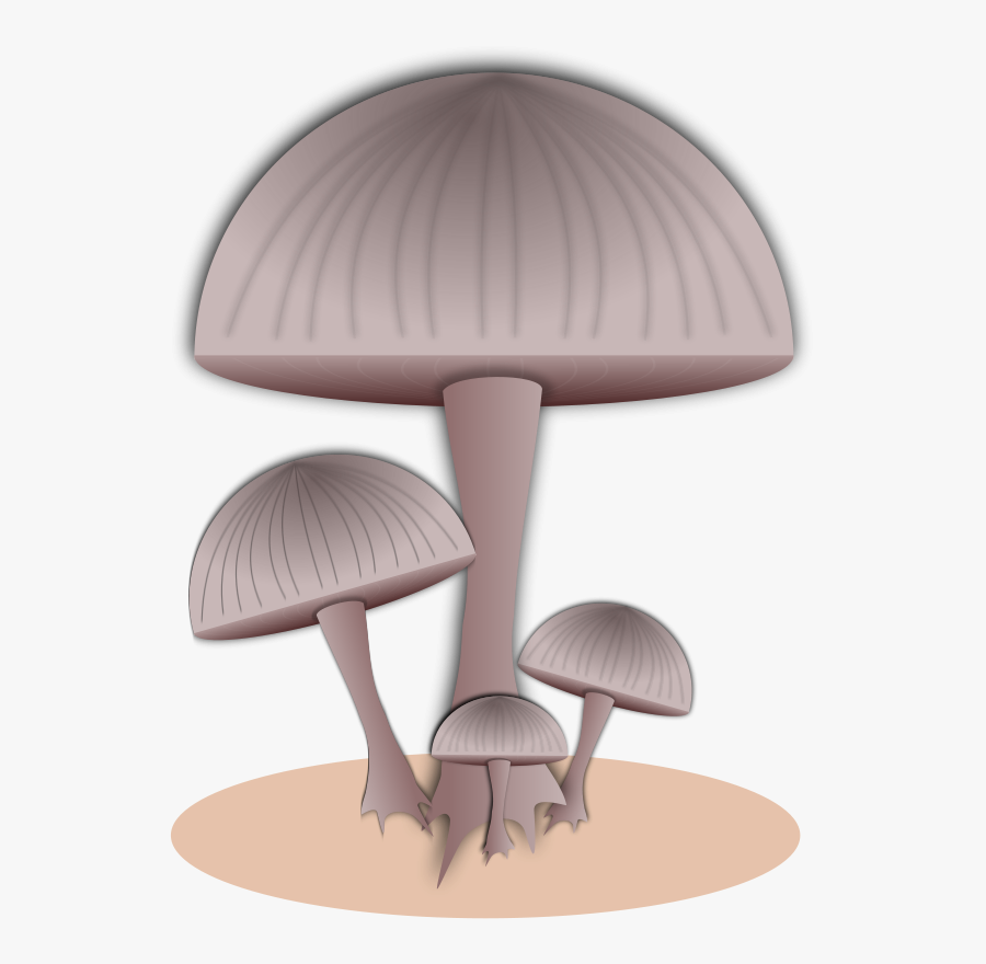 Fungi Clip Art Download - رسم فطر عيش الغراب, Transparent Clipart