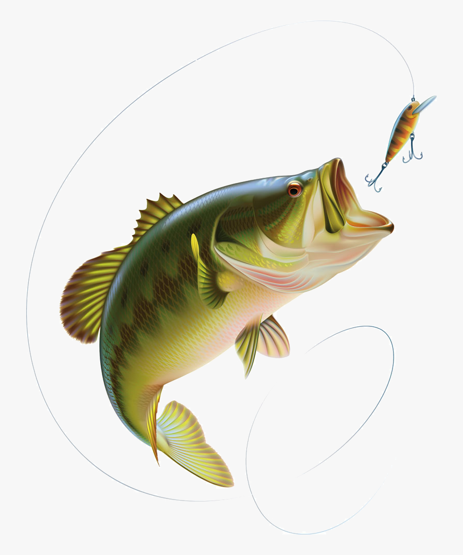 Largemouth Bass Clip Art - Bass Jumping Out Of Water Clipart, Transparent Clipart