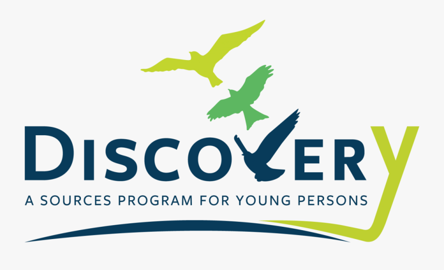 Graphic Design, Transparent Clipart