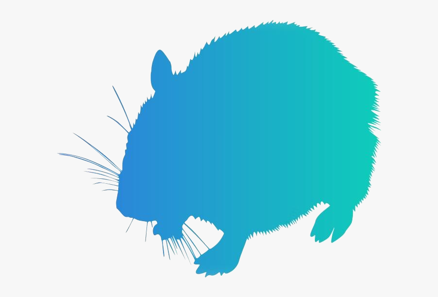 Transparent Gerbil Png Image - Illustration, Transparent Clipart