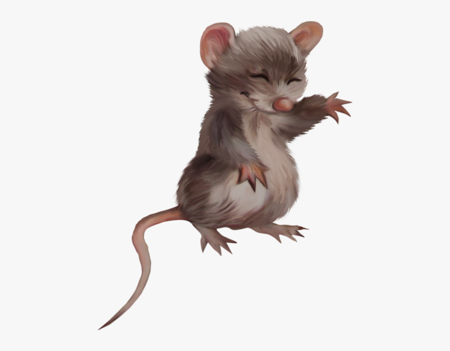 Mouse, Transparent Clipart