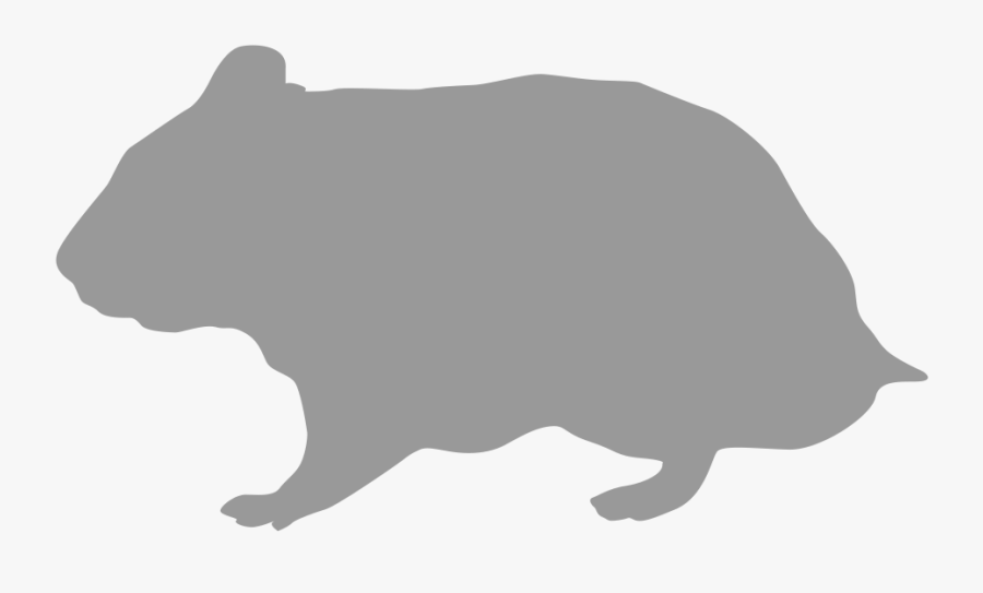 Rodent Hamster Silhouette Gerbil - Wombat, Transparent Clipart