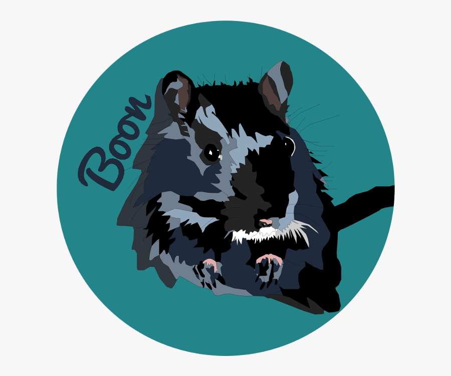Transparent Gerbil Png - Rat, Transparent Clipart