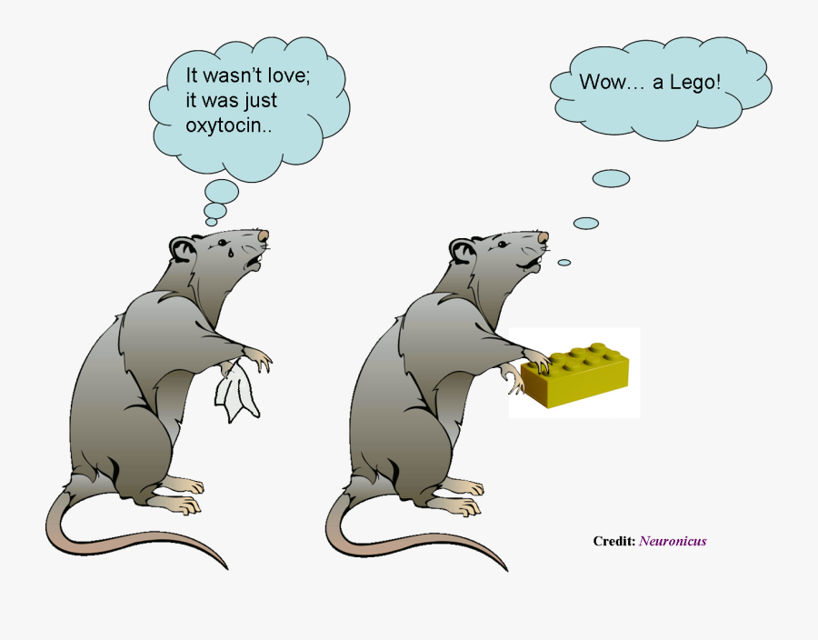 Rat Cartoon Png - Not My First Choice, Transparent Clipart