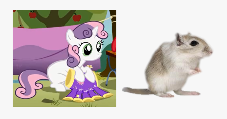 Transparent Gerbil Png - Sweetie Belle, Transparent Clipart