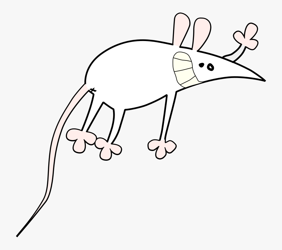 Mouse - Mouse Cartoon, Transparent Clipart