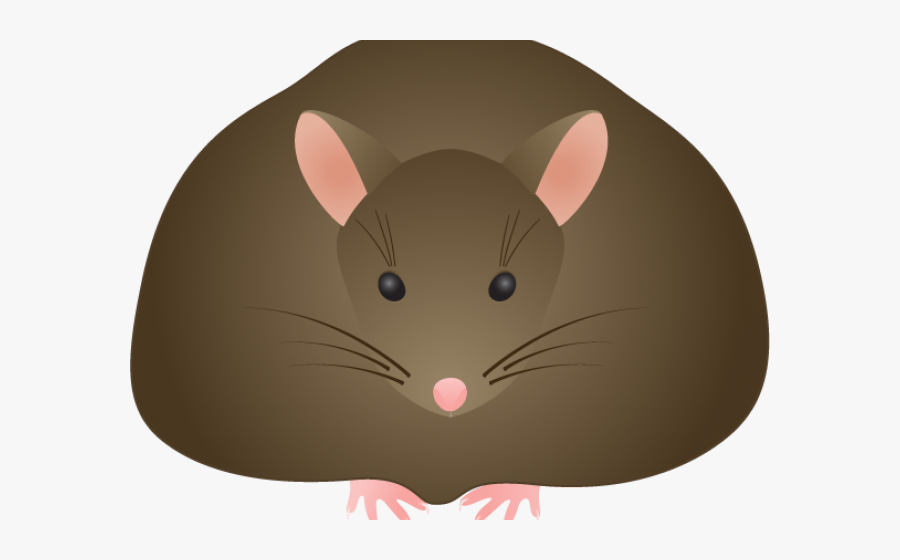 Жир мыши. Коричневая мышь. Толстый мышонок. Толстенькая мышка.