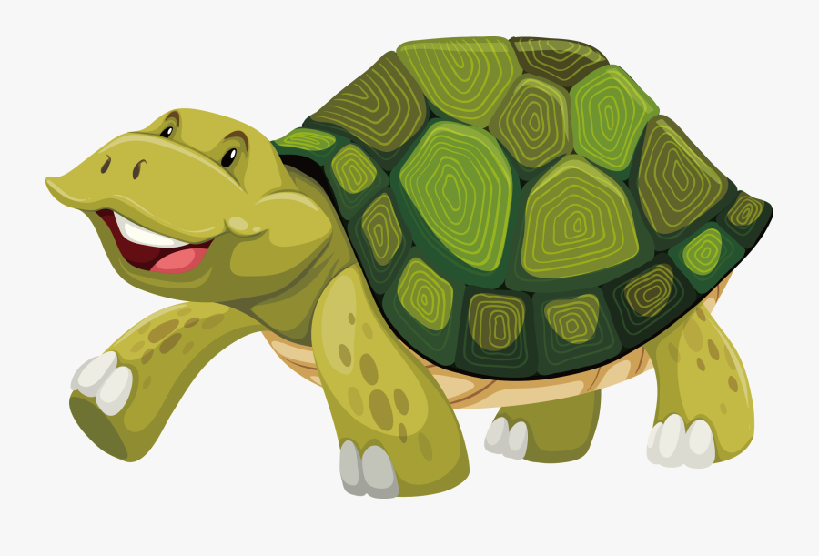 Turtle Shell Stock Photography Illustration - Turtles At The Zoo Clipart, Transparent Clipart