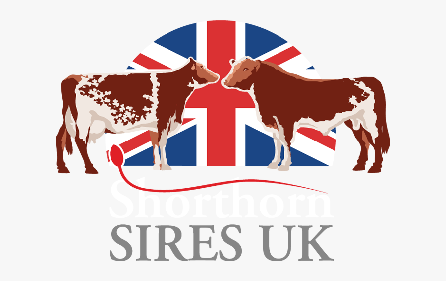 University Of Kentucky College Of Agriculture, Food, - Hawaii Flag Vector Circle, Transparent Clipart