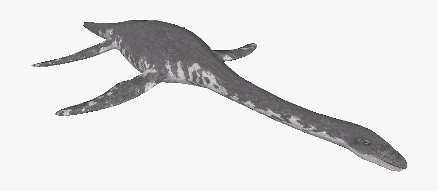 Loch Ness Monster Png - Marine Invertebrates, Transparent Clipart