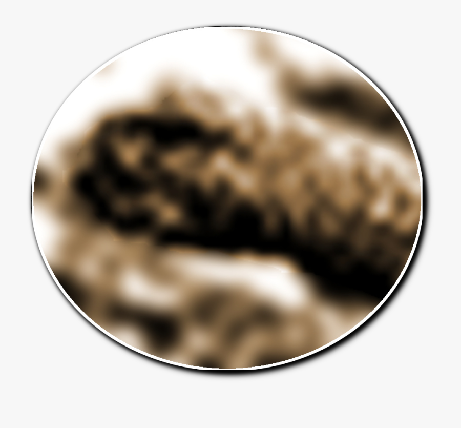 Transparent Loch Ness Monster Png - Circle, Transparent Clipart