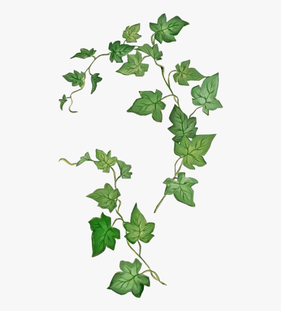 Tattoo Sleeve Stamp Ivy Abziehtattoo Common Leafpng - Poison Ivy Plant Png, Transparent Clipart