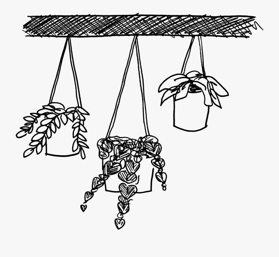 Hanging Plant Drawing Line Art - Hanging Plants Black And White, Transparent Clipart