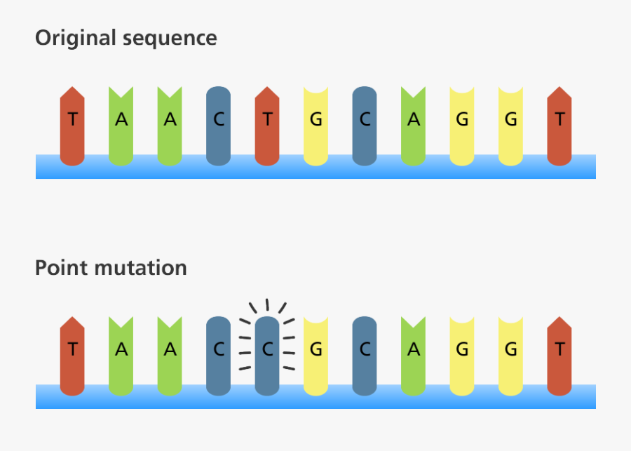 Mutant Clipart Point Mutation - Mutation Insertion, Transparent Clipart