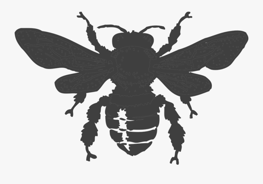 Bee Silhouette , Free Transparent Clipart - ClipartKey