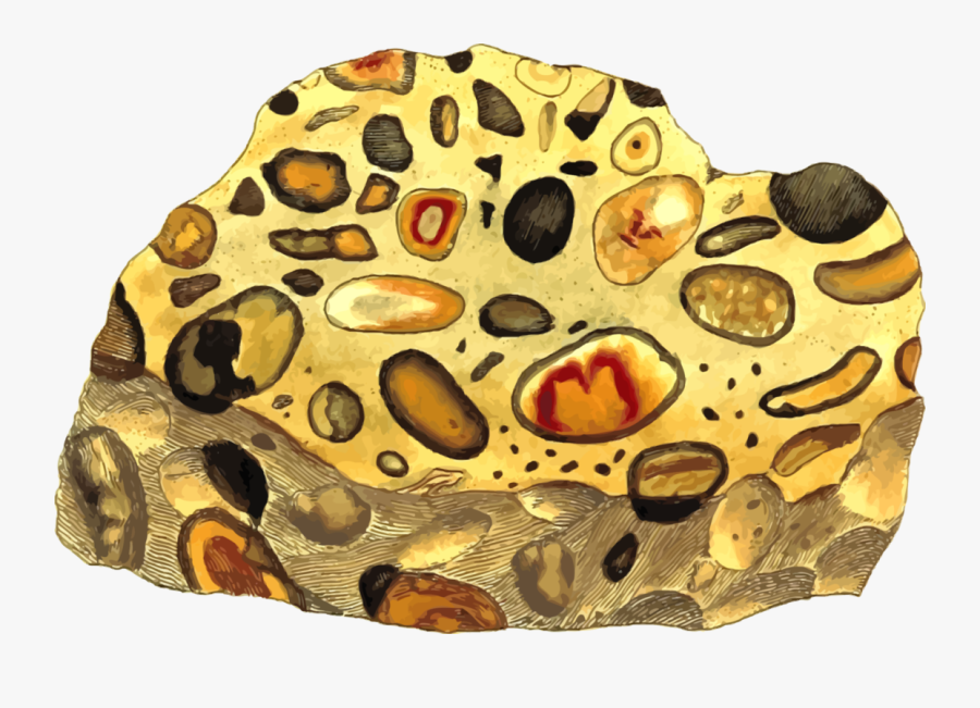 Organism,christmas Pudding,computer Icons - Artifact, Transparent Clipart