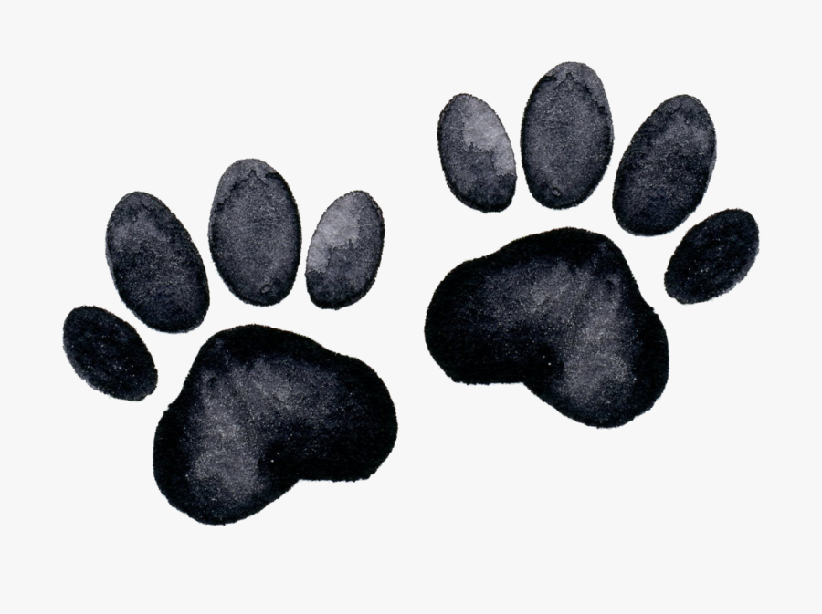 Paw Prints - Pebble - Watercolor Paw Print Png, Transparent Clipart