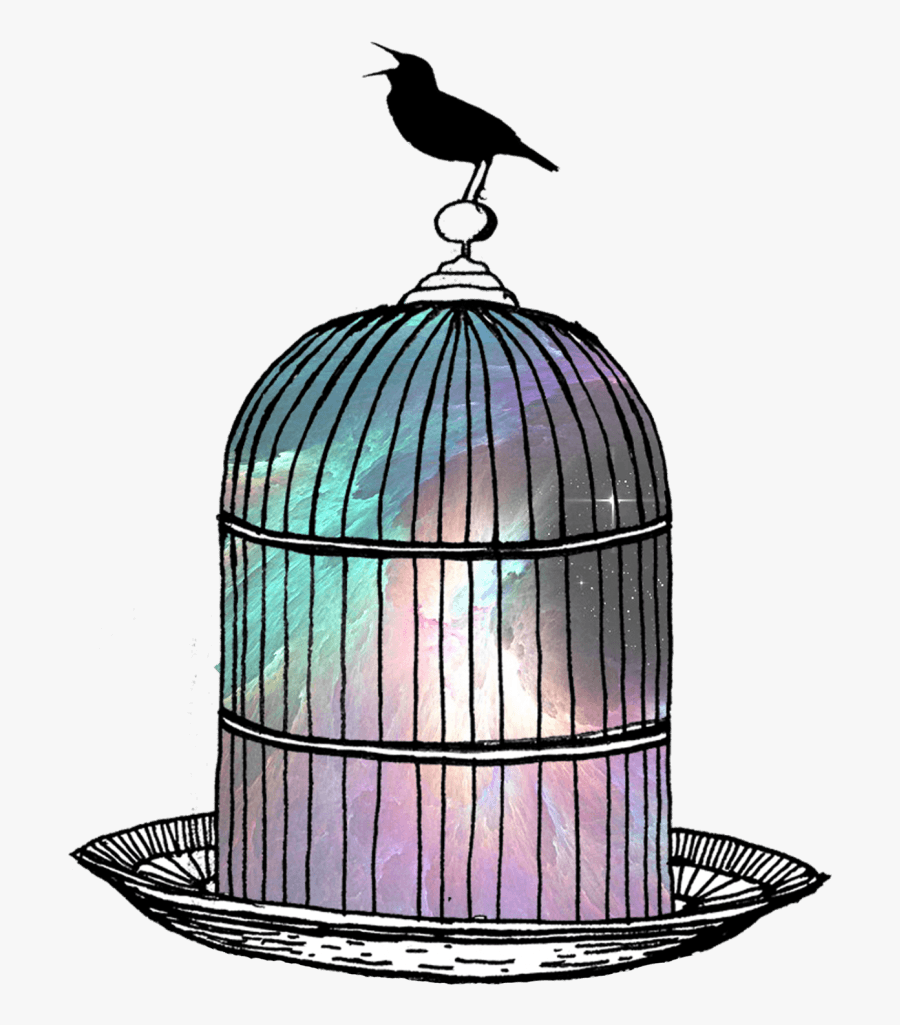 Illustration, Transparent Clipart