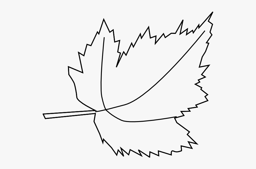 Line Art, Transparent Clipart