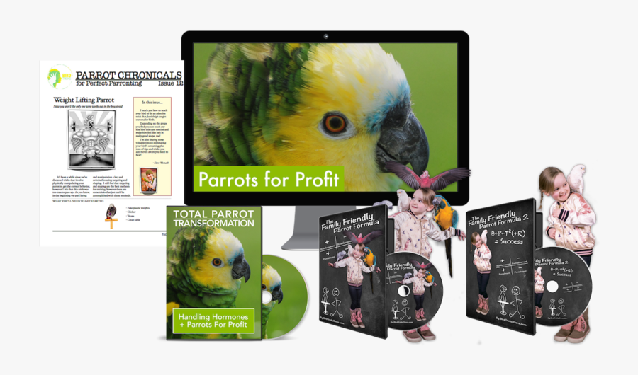 Transparent Parakeet Clipart - Parakeet, Transparent Clipart