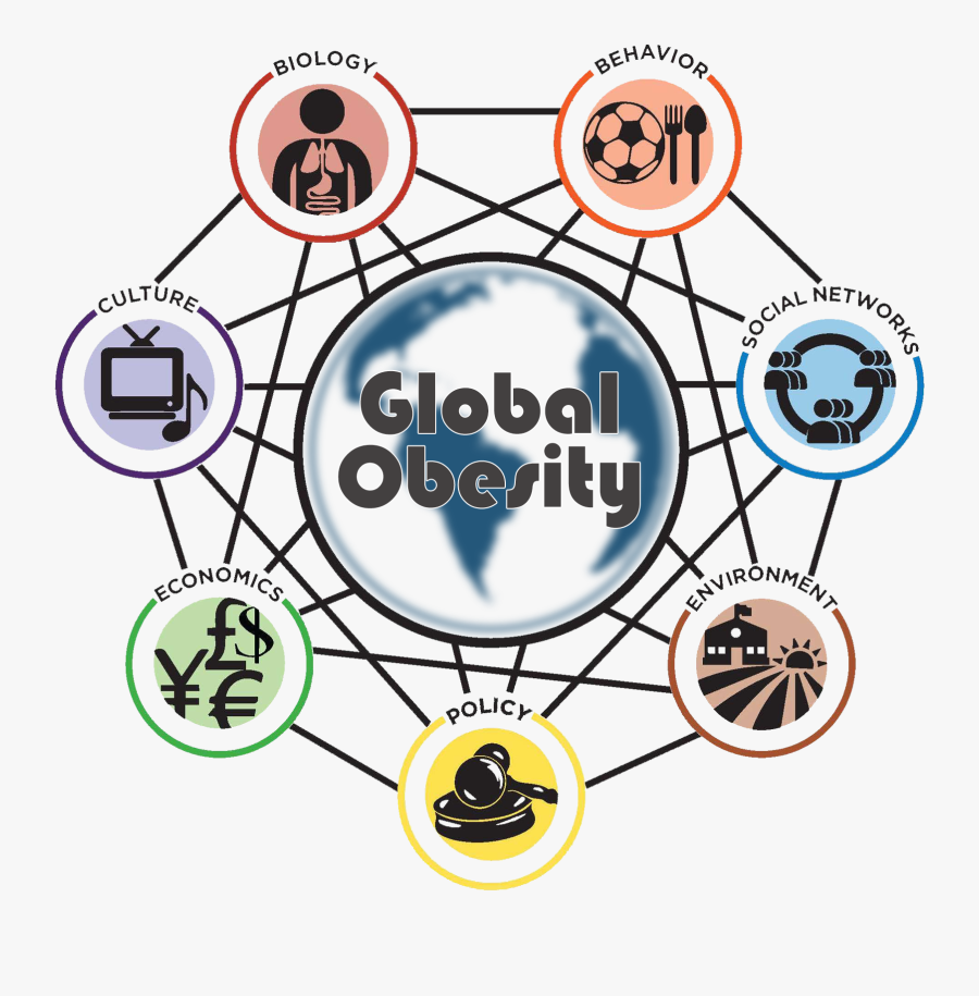 Global Obesity New Wheel - Obesity Prevention Programs, Transparent Clipart