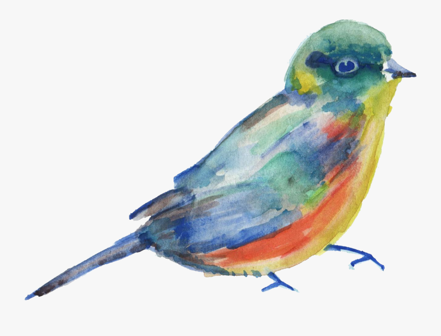 Bird Parrot Transparent Watercolor Watercolor Painting - Free Watercolor Bird Png, Transparent Clipart