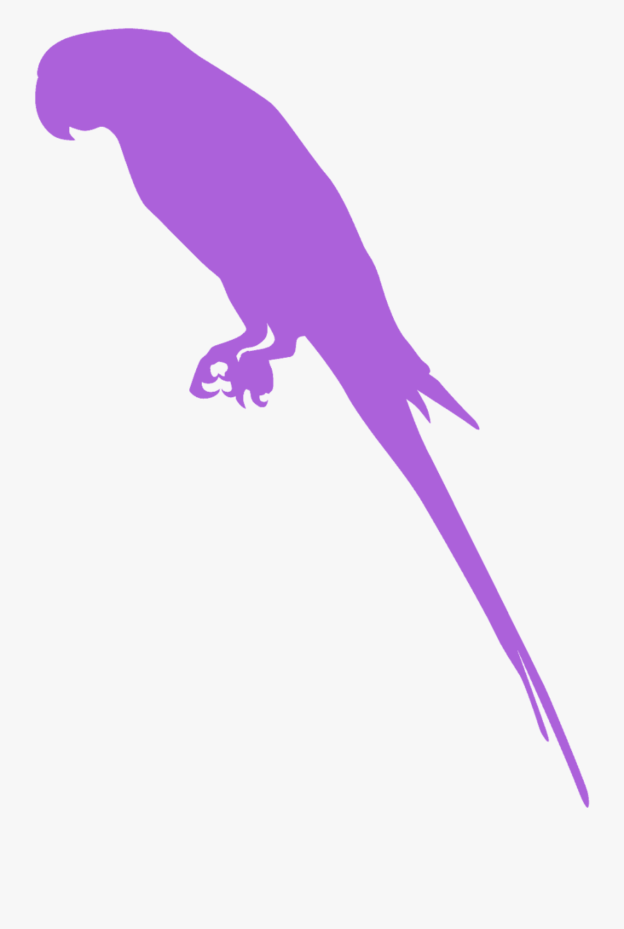Parkiet Silhouet, Transparent Clipart