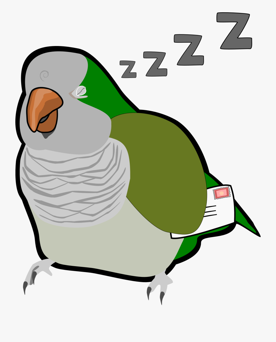 Transparent Oats Clipart - Parakeet, Transparent Clipart