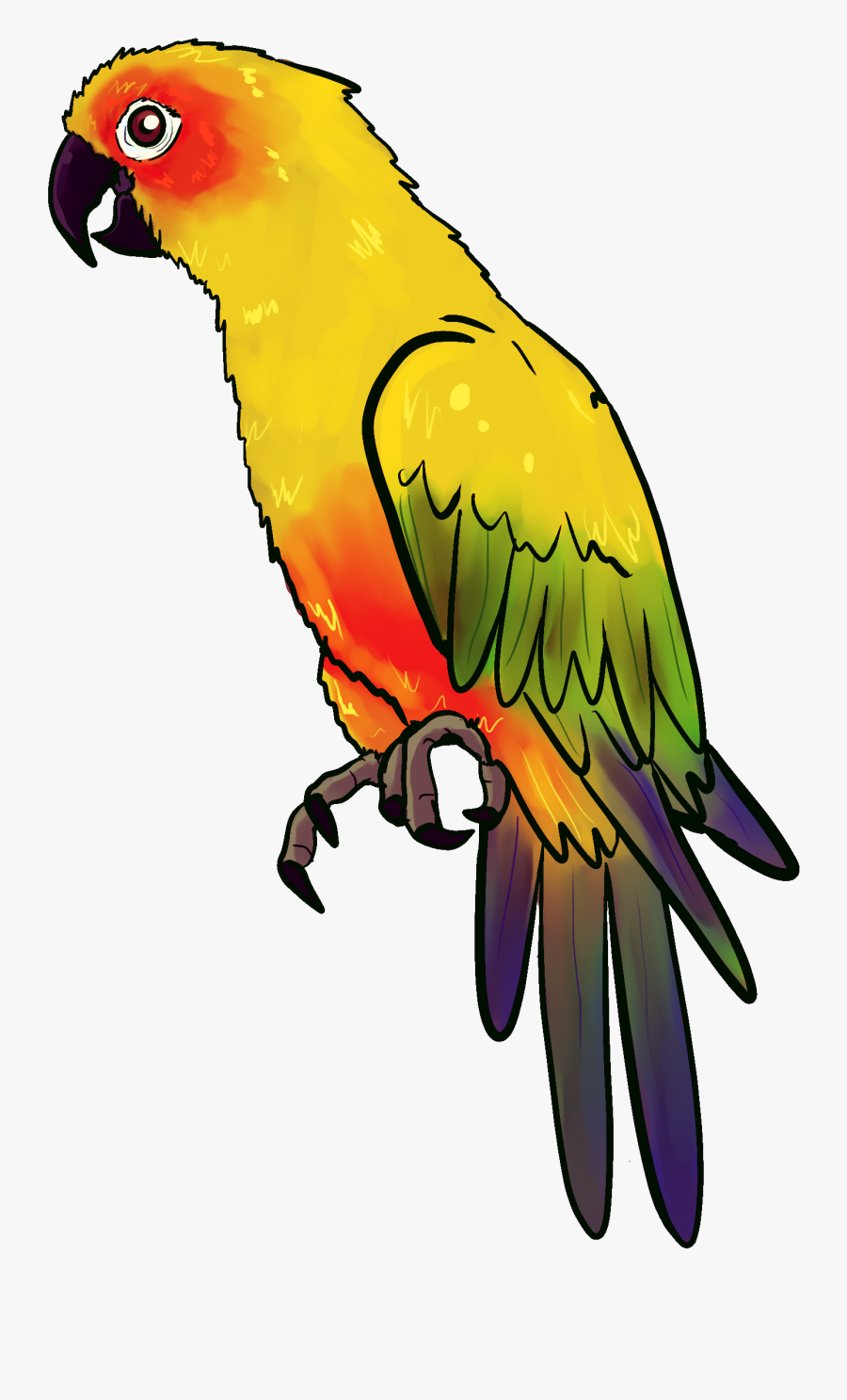 Bird Animal Birds Nature Feather - Parrot Drawing, Transparent Clipart