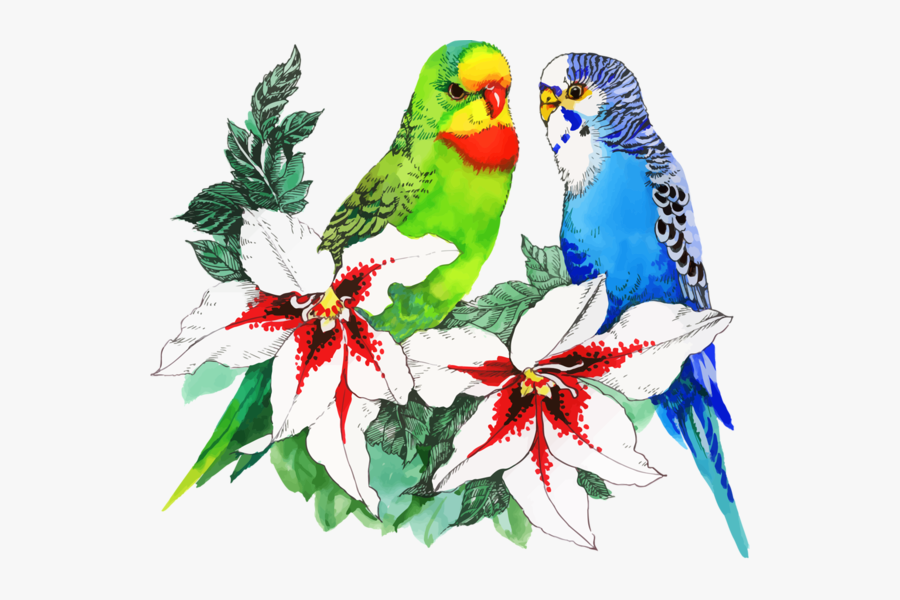 Birds With Flowers Drawing Clipart , Png Download - Birds And Flower Drawing, Transparent Clipart