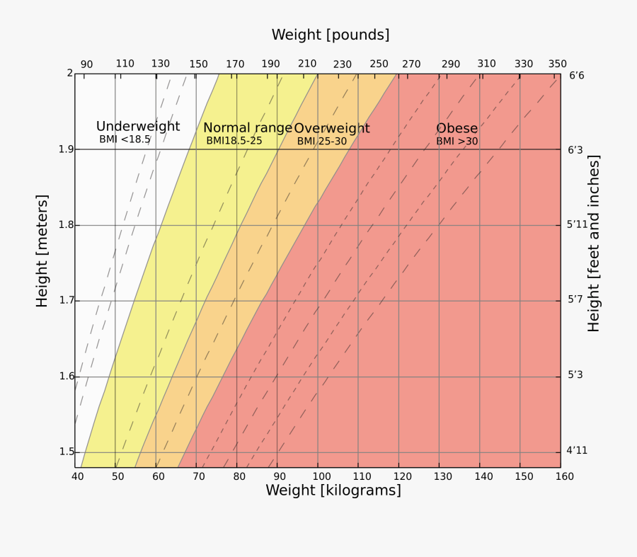 Underweight Bmi, Transparent Clipart