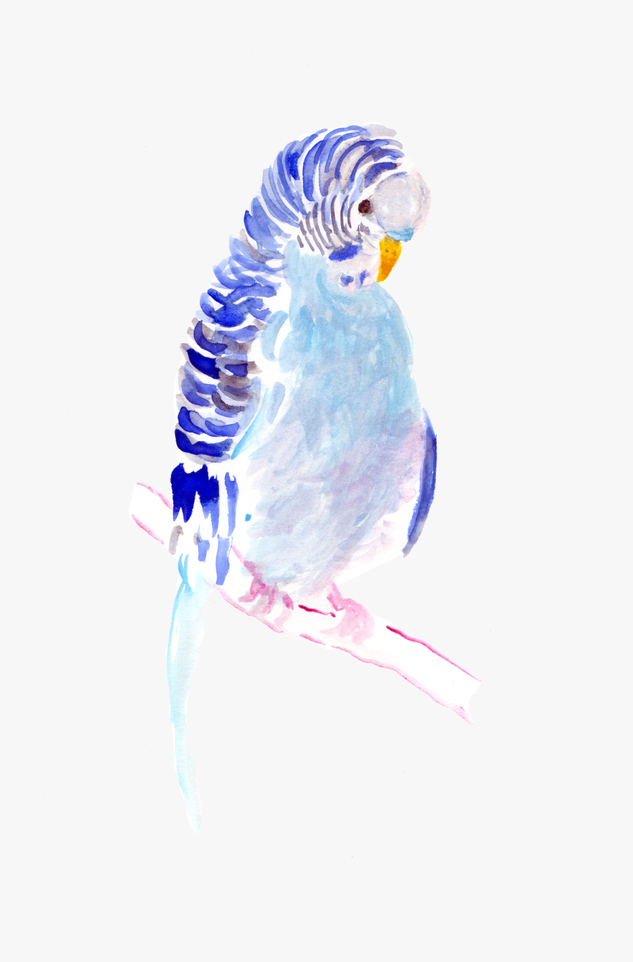 Clip Art Parakeet In By Mitsukomitsuko - Budgie, Transparent Clipart