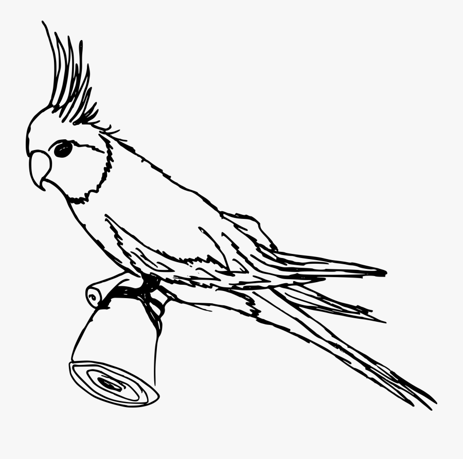 Graphic Library Download Cockatoo Drawing Kakatua - Parrot With Crown Drawing, Transparent Clipart