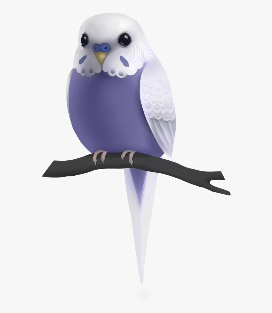 Transparent Budgie Clipart - Purple Budgie, Transparent Clipart