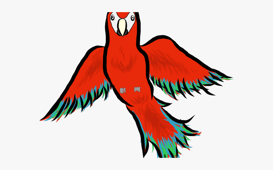 Macaw, Transparent Clipart