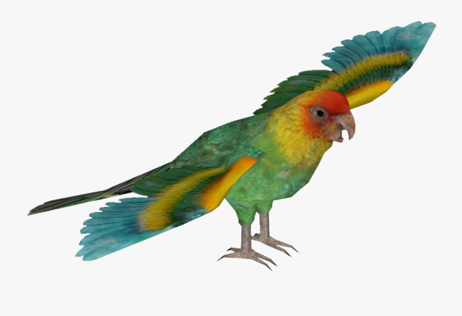Zt2 Download Library Macaw, Transparent Clipart