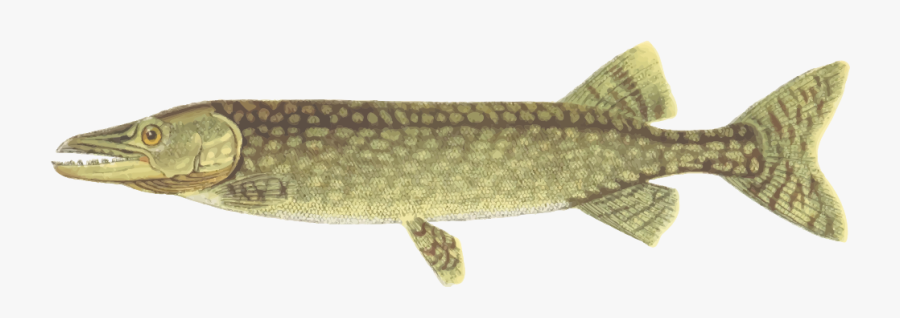 Clip Art Computer Icons Clip Art - Lunge, Transparent Clipart