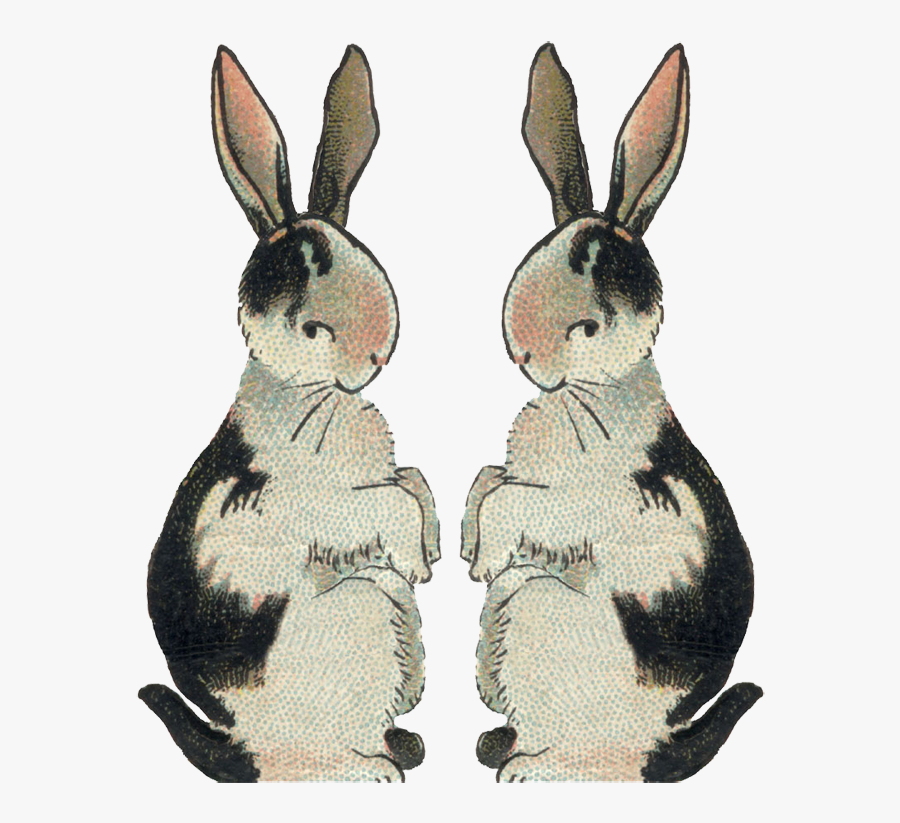 Si0035 - Illustration, Transparent Clipart