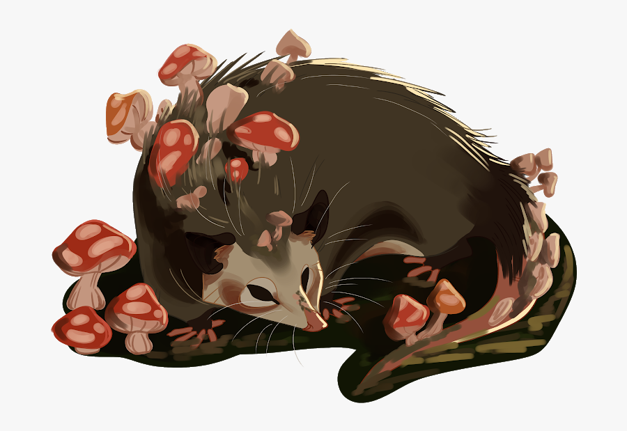 Mushroom Opossum - Illustration, Transparent Clipart
